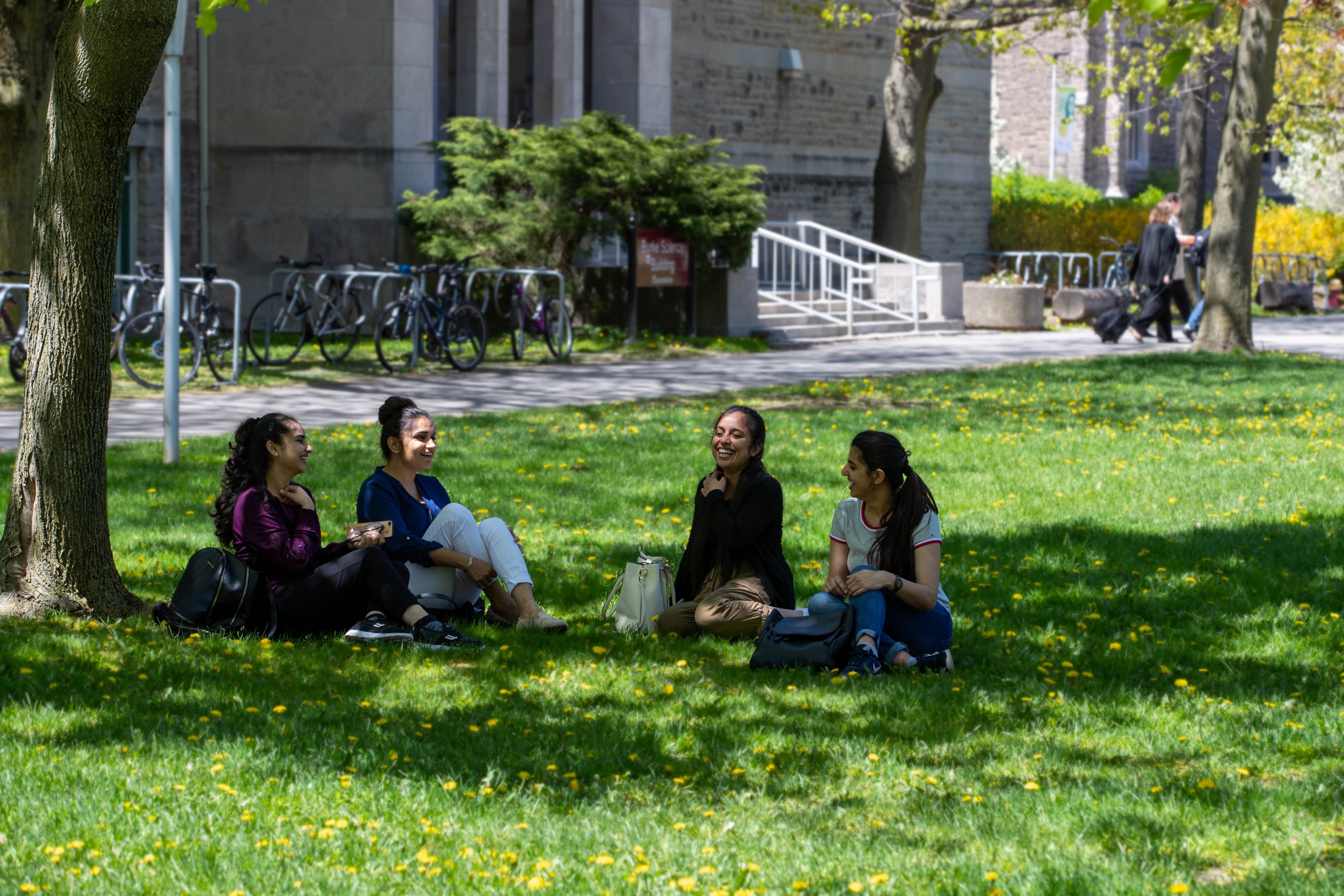 Students Sitting Under Tree on Campus
