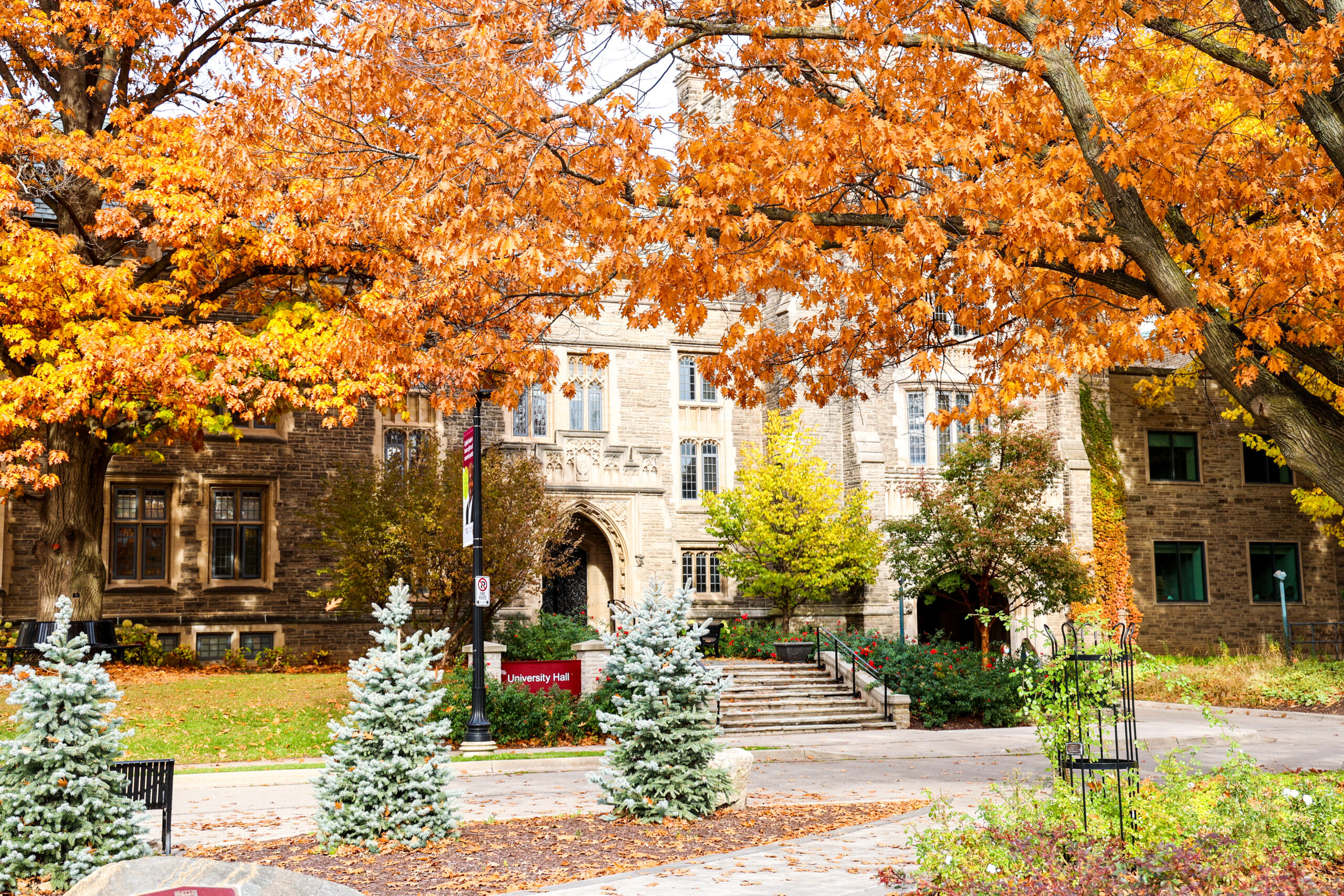 phd mcmaster university